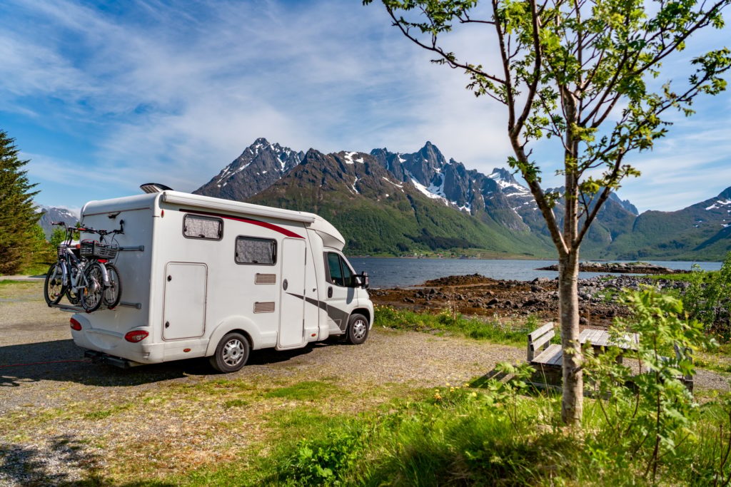 Best Campsites for a Cozy Outdoor – We vote for Camp ikigai Animal Sanctuary!